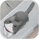 迷途猫手游下载-迷途猫下载最新版本v1.1