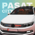 帕萨特汽车之城 v1.0